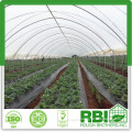 Tunnel plastic Greenhouse for agriculture low cost